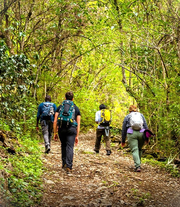 Inca Jungle Trail 3 Days 2 Nights
